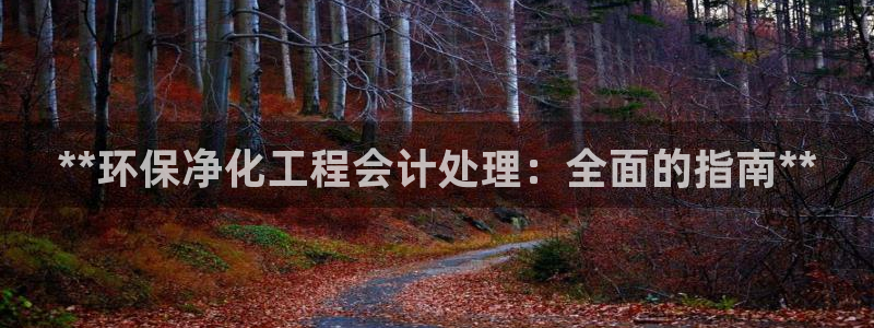 亿万先生m007：**环保净化工程会计处理：全面的指南**