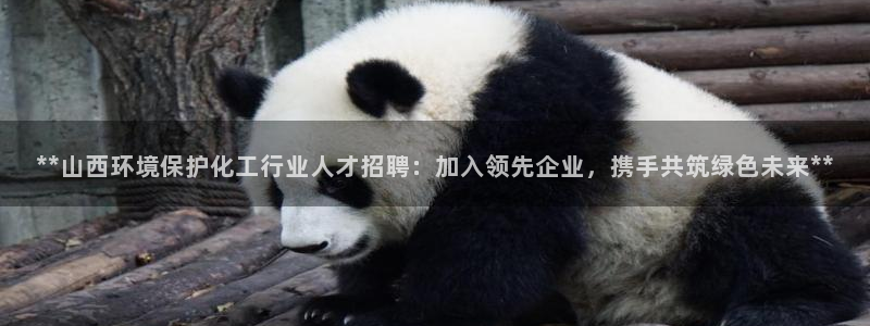 亿万先生mr01官网 - 亿万先生手机版入：**山西环境保护化工行业人才招聘：加入领先企业，携手共筑绿色未来**