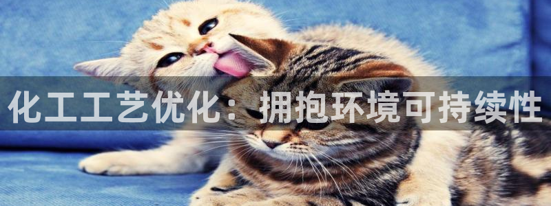 亿万网友在线实时为您解答：化工工艺优化：拥抱环境可持续性