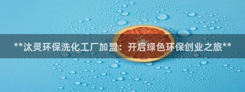 亿万网络：**汰灵环保洗化工厂加盟：开启绿色环保创业之旅**