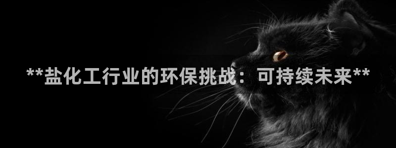 亿万先生游戏平台网址：**盐化工行业的环保挑战：可持续未来**