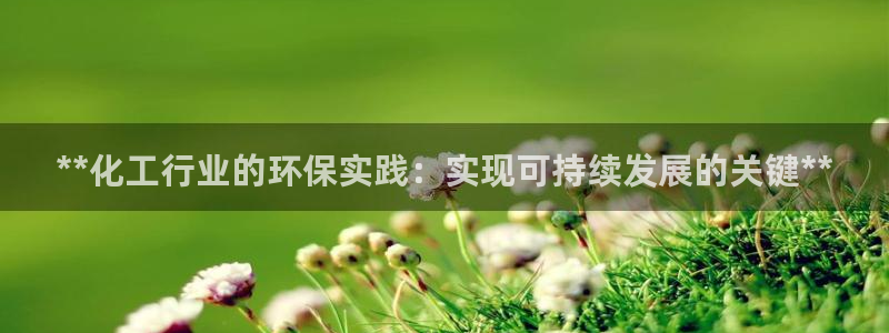 亿万百度百科：**化工行业的环保实践：实现可持续发展的关键**
