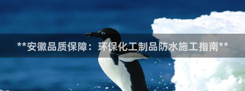 亿万先生客户端：**安徽品质保障：环保化工制品防水施工指南**