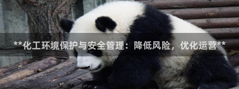 亿万先生网址生：**化工环境保护与安全管理：降低风险，优化运营**