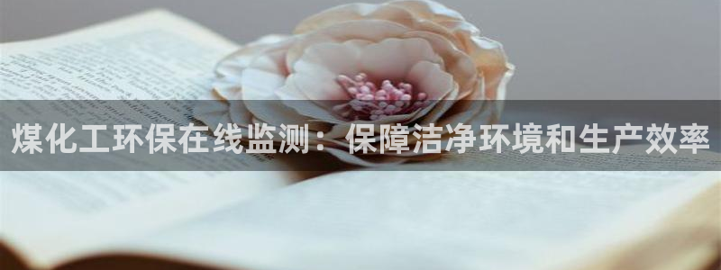 亿万剧情简介：煤化工环保在线监测：保障洁净环境和生产效率