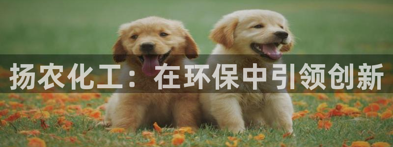 亿万先生手机版入口在哪下载：扬农化工：在环保中引领创新