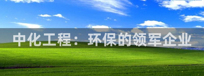 亿万先生 手机版下载最新版：中化工程：环保的领军企业