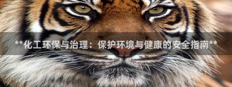 亿万先生客服联系方式查询：**化工环保与治理：保护环境与健康的安全指南**
