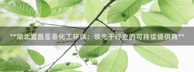 亿万先生 手机版下载最新版：**湖北宜昌亚泰化工环保：领先于行业的可持续提供商**