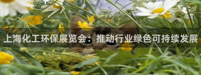 亿万28下载地址：上海化工环保展览会：推动行业绿色可持续发展