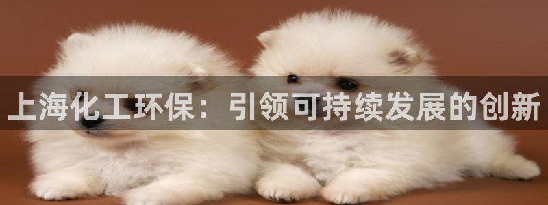 亿万剧集：上海化工环保：引领可持续发展的创新