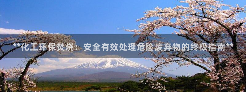 亿万先生手机客户端：**化工环保焚烧：安全有效处理危险废弃物的终极指南**