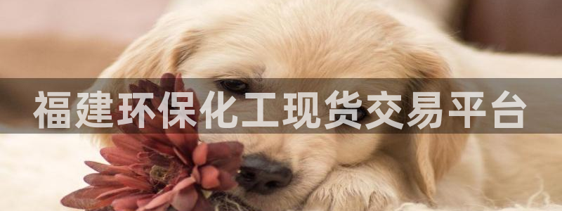亿万先生mr008cc官网：福建环保化工现货交易平台