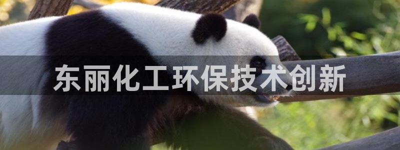亿万解析：东丽化工环保技术创新