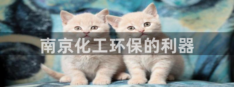 亿万先生客户端：南京化工环保的利器