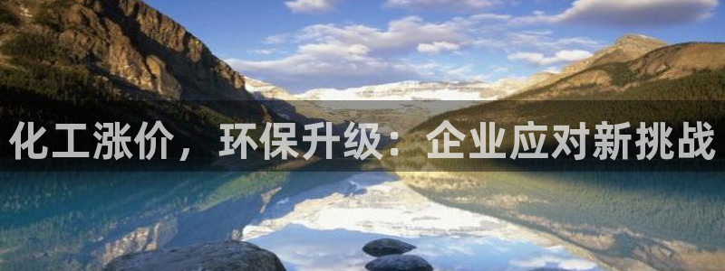 mr8001亿万先生：化工涨价，环保升级：企业应对新挑战