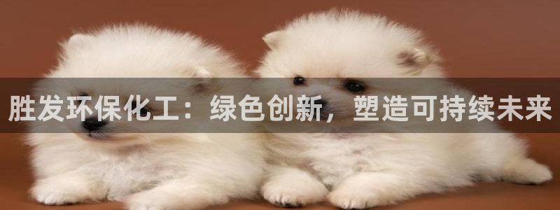 亿万讲什么：胜发环保化工：绿色创新，塑造可持续未来