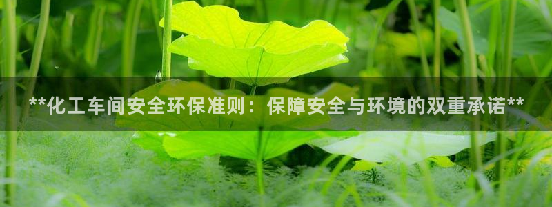 亿万网友在线实时为您解答问题：**化工车间安全环保准则：保障安全与环境的双重承诺**