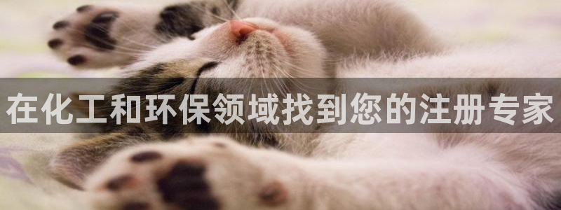亿万先生现在的网址谁知道：在化工和环保领域找到您的注册专家
