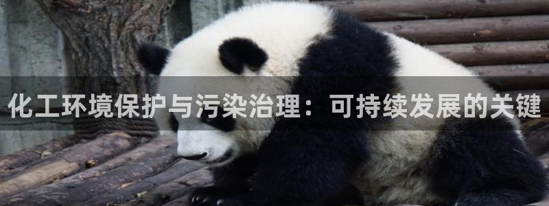 亿万百度百科：化工环境保护与污染治理：可持续发展的关键