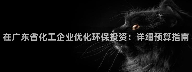 亿万先生网红：在广东省化工企业优化环保投资：详细预算指南