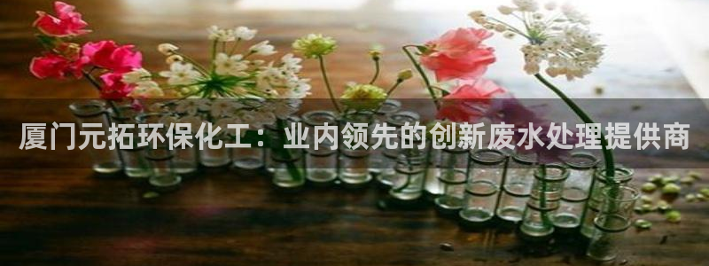 电影 亿万：厦门元拓环保化工：业内领先的创新废水处理提供商