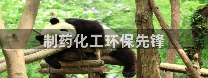 亿万先生mr07官网：制药化工环保先锋