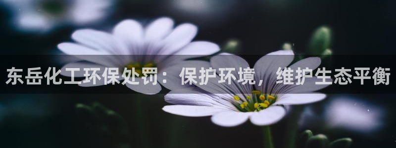 亿万先生 手机版下载安装：东岳化工环保处罚：保护环境，维护生态平衡