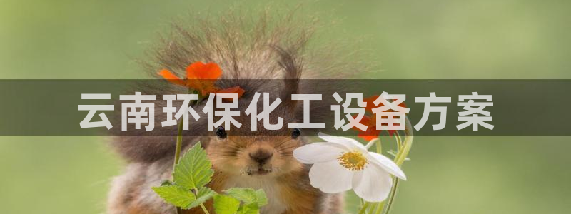 亿万先生官方登录网址：云南环保化工设备方案
