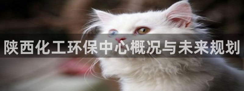电影 亿万：陕西化工环保中心概况与未来规划