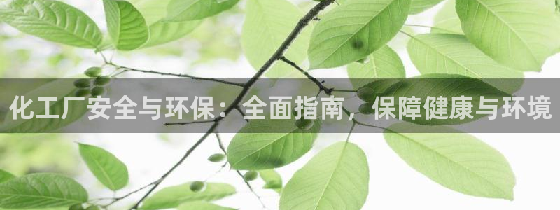 亿万百度百科官网：化工厂安全与环保：全面指南，保障健康与环境