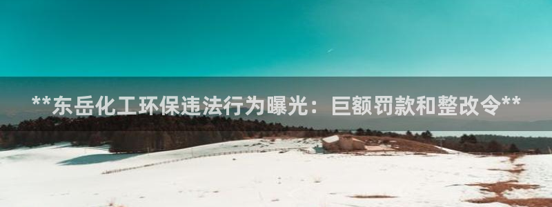 亿万堂官网：**东岳化工环保违法行为曝光：巨额罚款和整改令**
