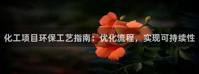 亿万先生客服联系：化工项目环保工艺指南：优化流程，实现可持续性