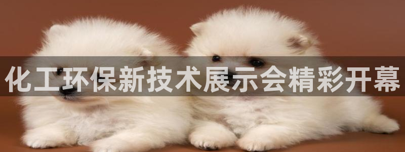 亿万下载：化工环保新技术展示会精彩开幕