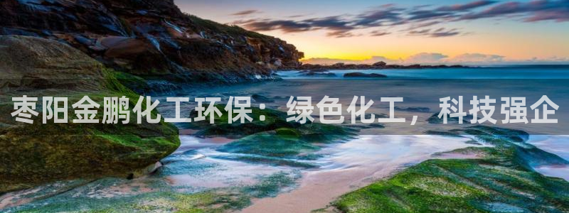 亿万先生官方客服：枣阳金鹏化工环保：绿色化工，科技强企