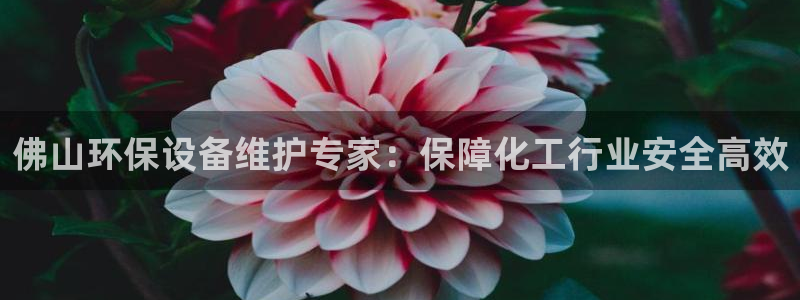亿万先生007官网：佛山环保设备维护专家：保障化工行业安全高效