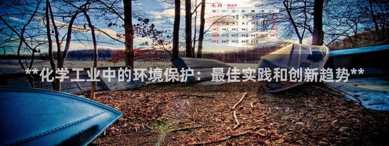 亿万28下载地址：**化学工业中的环境保护：最佳实践和创新趋势**