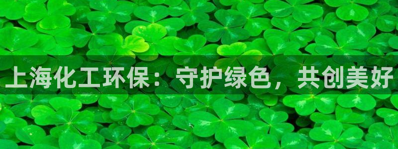 mr亿万先生：上海化工环保：守护绿色，共创美好
