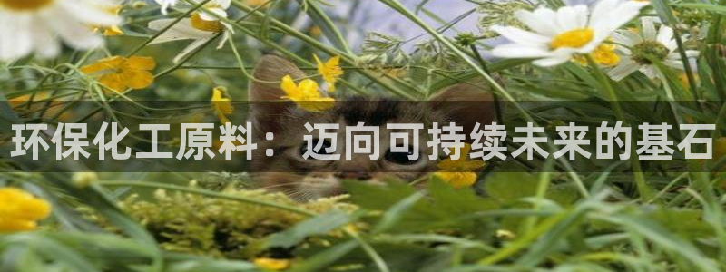 亿万手游平台官网：环保化工原料：迈向可持续未来的基石