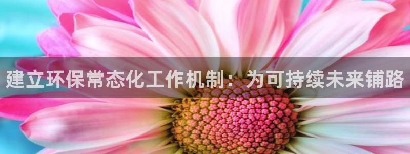 亿万网络科技有限公司：建立环保常态化工作机制：为可持续未来铺路