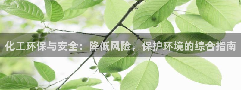 亿万先生手机版入：化工环保与安全：降低风险，保护环境的综合指南