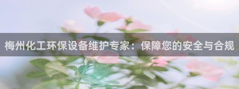 亿万先生网页版：梅州化工环保设备维护专家：保障您的安全与合规