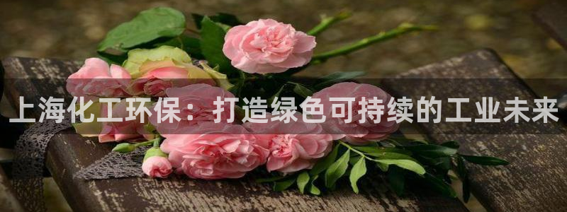 亿万城市手游官网：上海化工环保：打造绿色可持续的工业未来