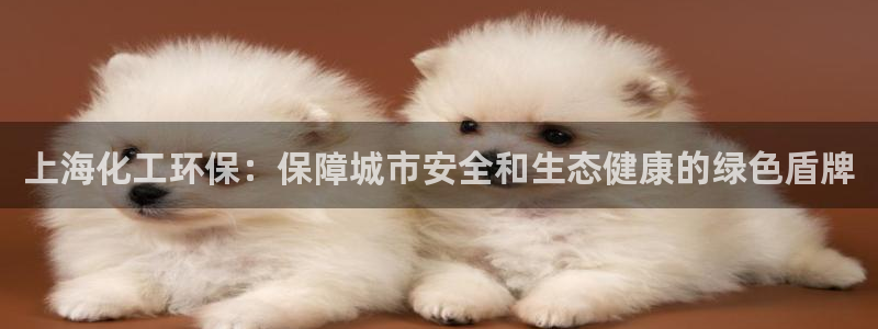 亿万先生客户端官网：上海化工环保：保障城市安全和生态健康的绿色盾牌