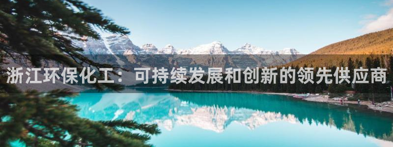 亿万先生网红：浙江环保化工：可持续发展和创新的领先供应商