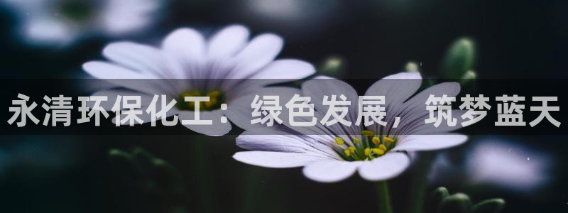 亿万千百十：永清环保化工：绿色发展，筑梦蓝天