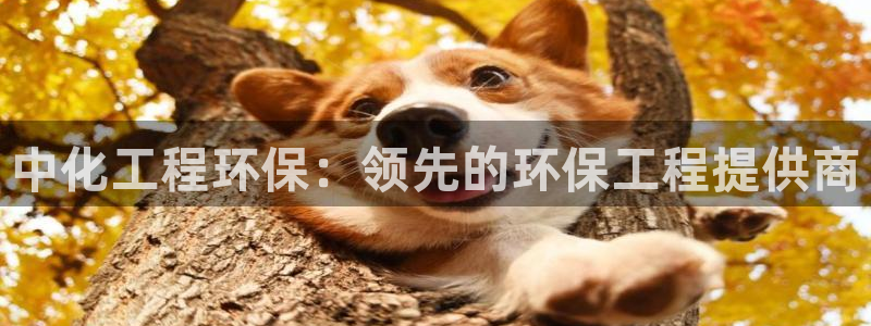 亿万手游官网：中化工程环保：领先的环保工程提供商