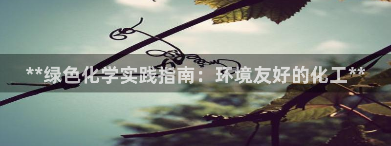 亿万先生客户端官网登录不了：**绿色化学实践指南：环境友好的化工**
