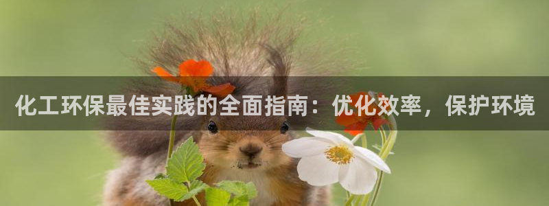 亿万先生客户端：化工环保最佳实践的全面指南：优化效率，保护环境
