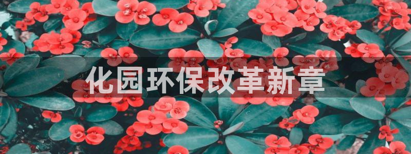 亿万先生充电桩：化园环保改革新章